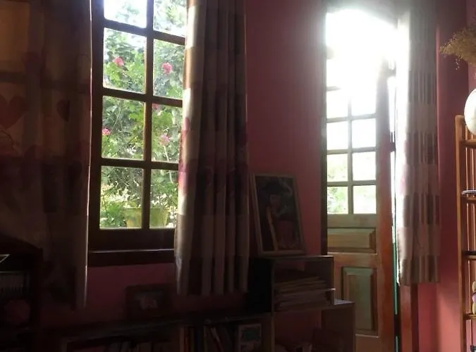 Frühstückspension Mirin Homestay Hạ Long