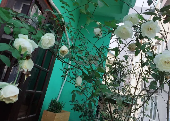 Frühstückspension Mirin Homestay
