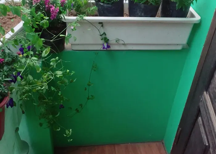 Mirin Homestay Hạ Long