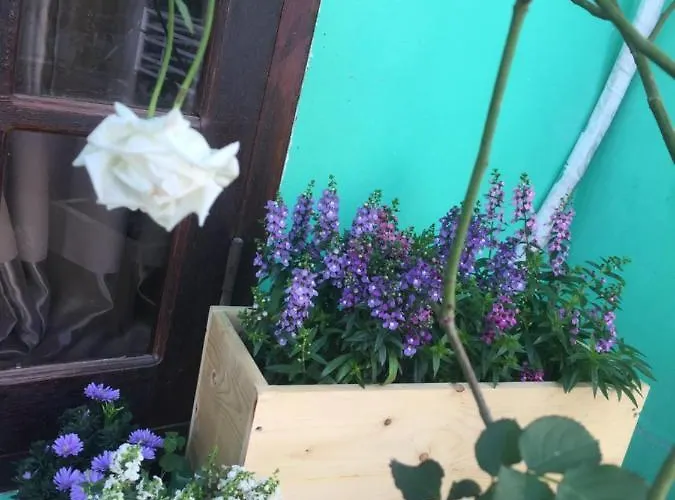 Mirin Homestay Frühstückspension