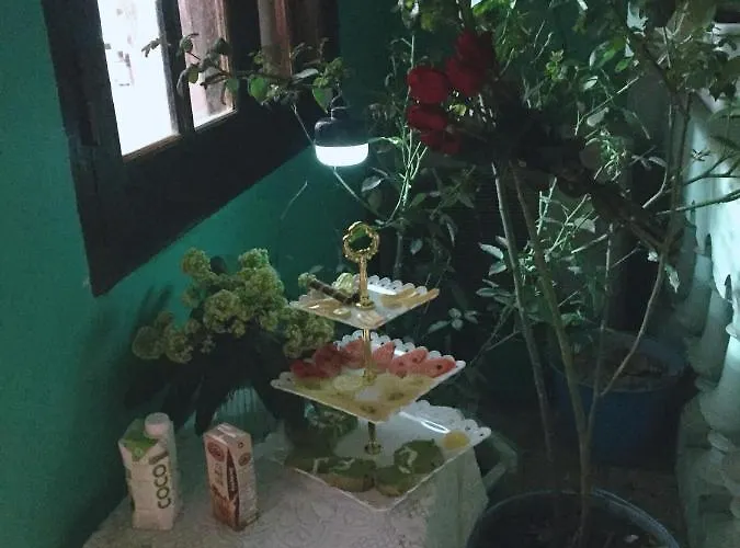 Mirin Homestay *
