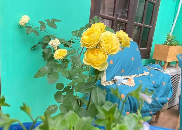Mirin Homestay * Hạ Long