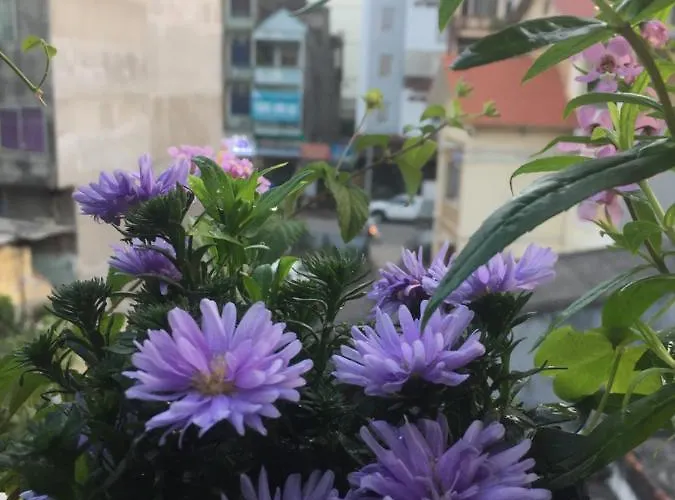 Frühstückspension Mirin Homestay *