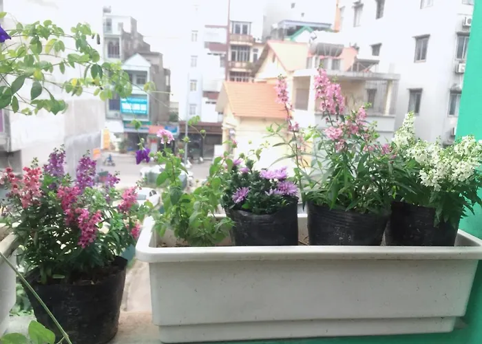 Mirin Homestay * Hạ Long