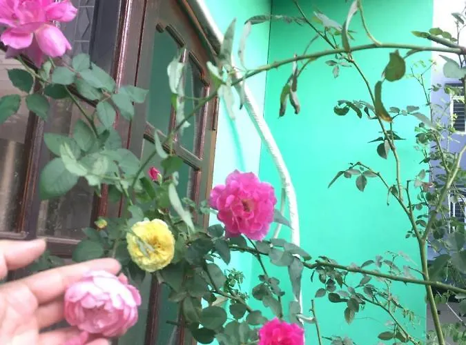 Mirin Homestay *